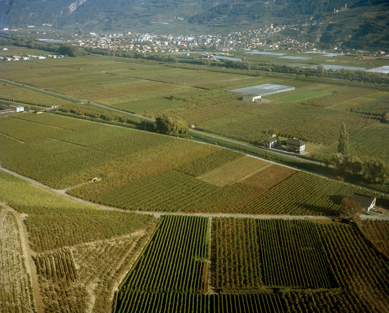 Afar / Alpine Wine - Harry Mitchell